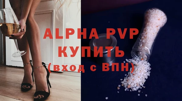 spice Богданович