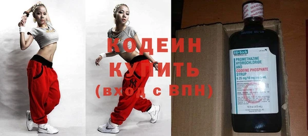 шишки Богородск