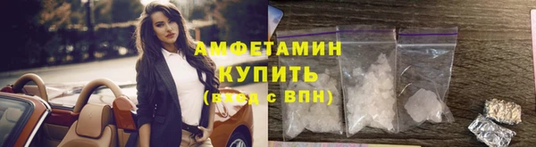 spice Богданович