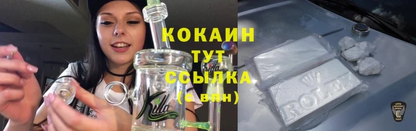 шишки Богородск