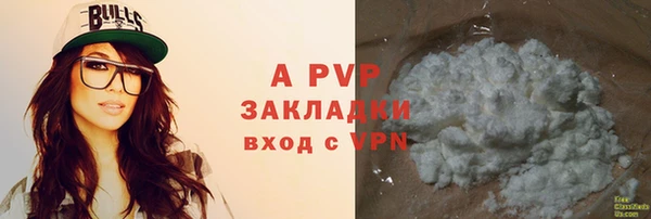 spice Богданович