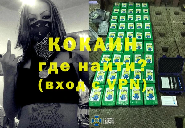 шишки Богородск
