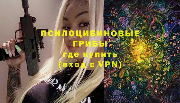 шишки Богородск