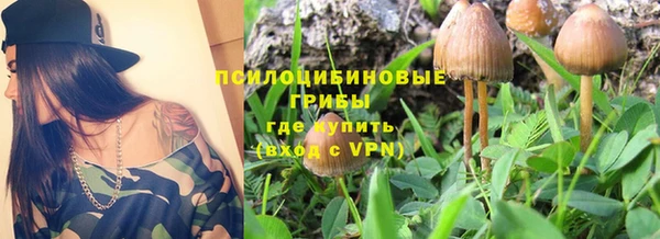 spice Богданович