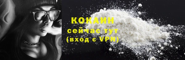 шишки Богородск