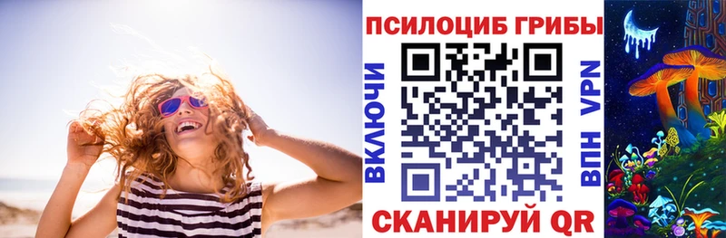 blacksprut сайт Волгореченск Псилоцибиновые грибы прущие грибы цена наркотик
